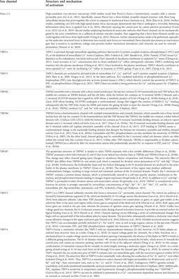 The interplay between physical cues and mechanosensitive ion channels in cancer metastasis